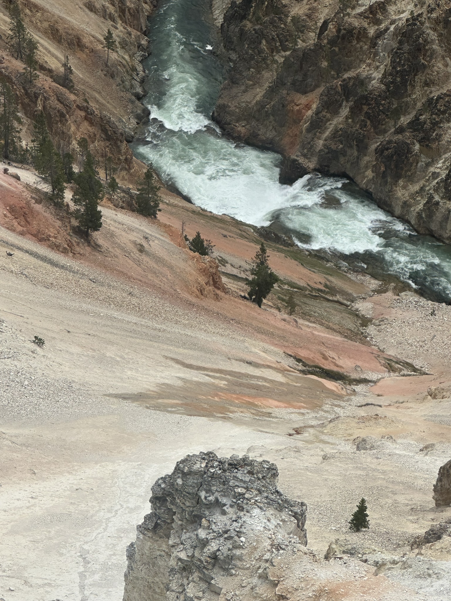 Yellowstone And Grand Teton National Parks - Image 637